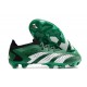 adidas Predator Accuracy.1 L FG Grön Vit