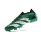 adidas Predator Accuracy.1 L FG Grön Vit